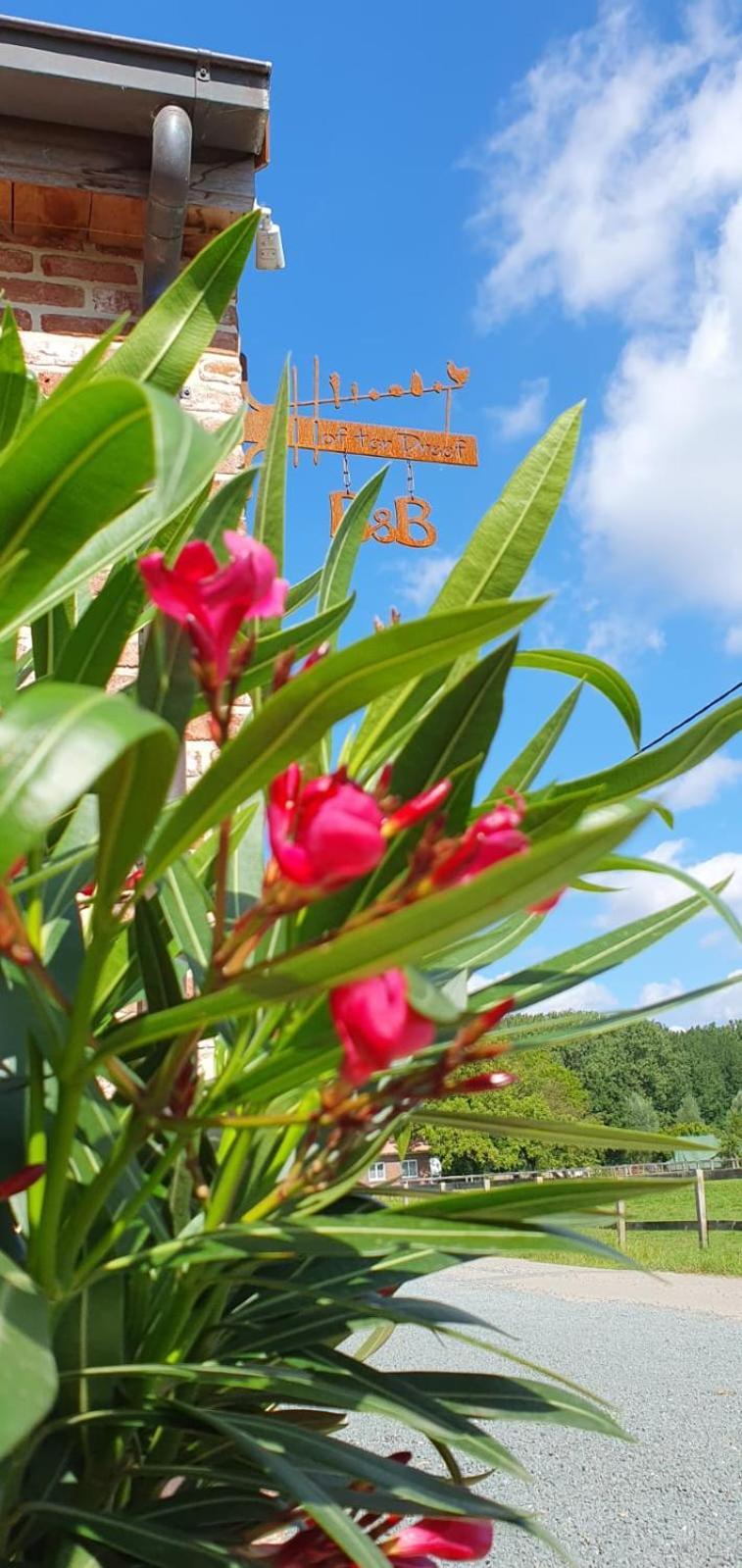 Hof Ter Dreef Bed and Breakfast Meise Εξωτερικό φωτογραφία